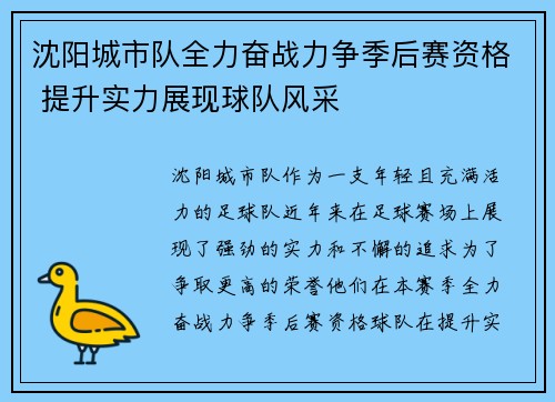 沈阳城市队全力奋战力争季后赛资格 提升实力展现球队风采