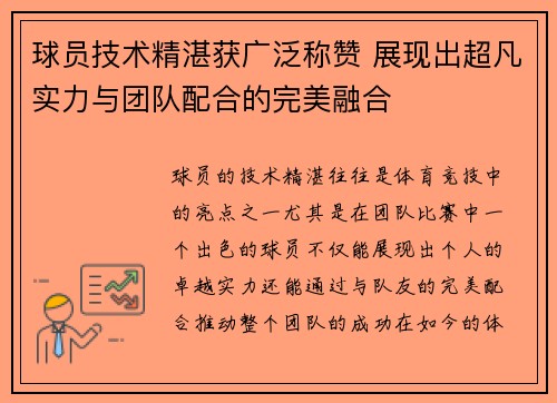 球员技术精湛获广泛称赞 展现出超凡实力与团队配合的完美融合